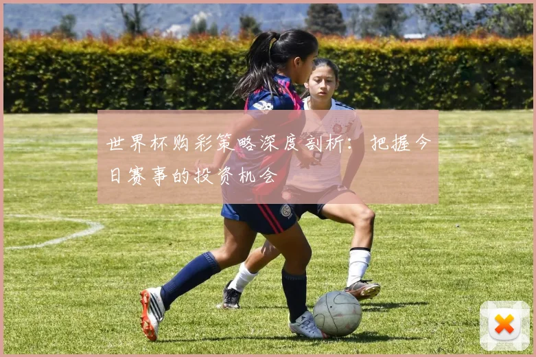 世界杯购彩策略深度剖析：把握今日赛事的投资机会