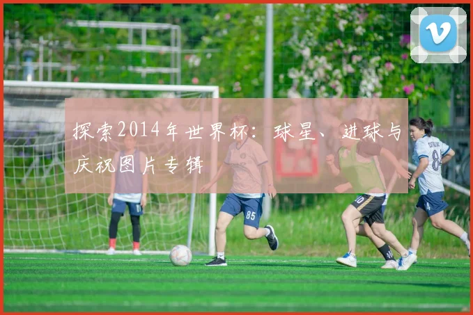 探索2014年世界杯:球星、进球与庆祝图片专辑