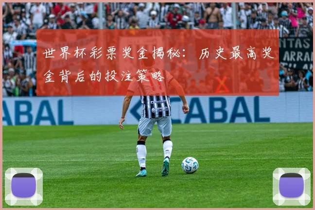 世界杯彩票奖金揭秘:历史最高奖金背后的投注策略