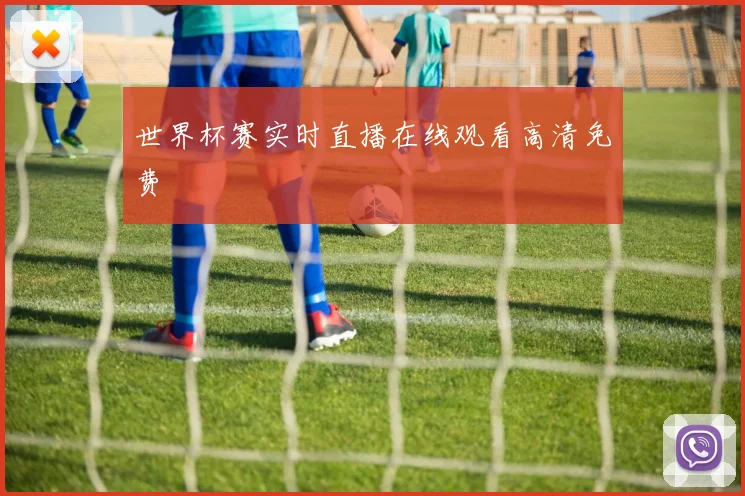 世界杯赛实时直播在线观看高清免费