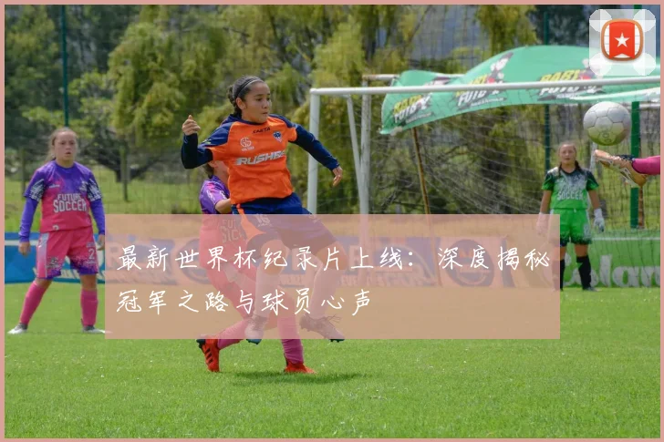 最新世界杯纪录片上线：深度揭秘冠军之路与球员心声