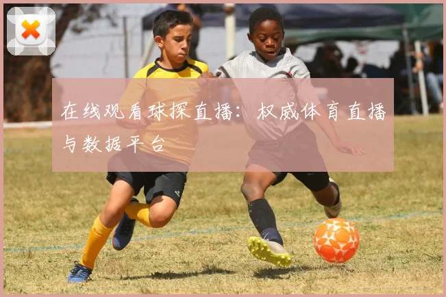 在线观看球探直播：权威体育直播与数据平台