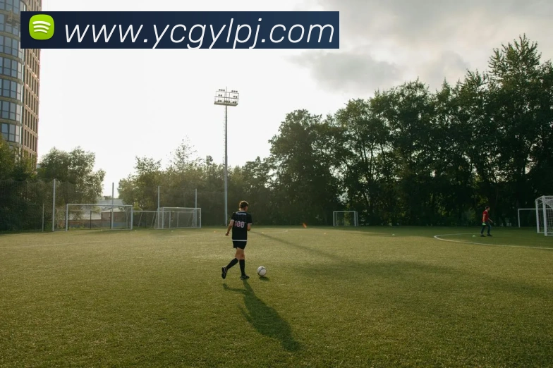 多媒体互动体验